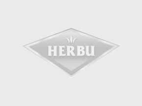 Lorem ipsum dolor